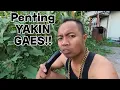 Download Lagu KONDISI KEBUN GAES,,