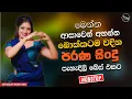 Lagu Best Sinhala Band Old Songs Nonstop | Sinhala Sindu | Sinhala Songs Best Collection | Sinhala Song