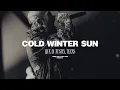 Demon Hunter Cold Winter Sun Live in Austin TX