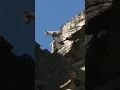 Download Lagu Mountain Goat | Animal Spotlight – The Ultimate Cliff Climber for Kids