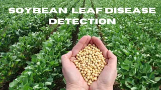 AE014 Soybean Leaf Disease Detection Deep Learning