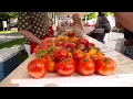 Kittitas Valley Greenhouse Ellensburg WA Washington Grown