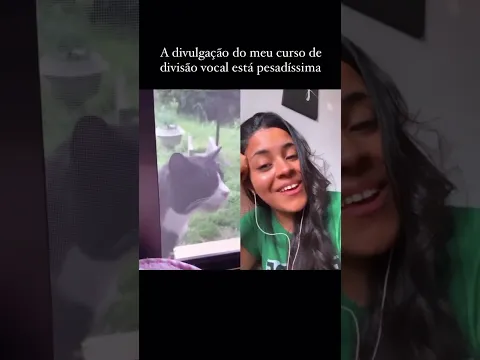 Harmonizando com o meu gato