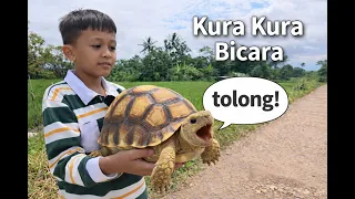 “HAMPIR NABRAK KURA-KURA BICARA?! 😱🐢 | Baby Sulcata Minta Tolong!”