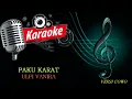Download Lagu KARAOKE PAKU KARAT ULFI VANIRA (VERSI COWO)