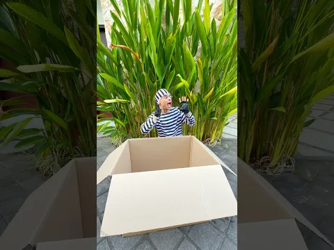 A thief saves a chicken 🤣🤣🤣