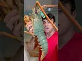 Download Lagu Cooking MASSIVE Green Lobster