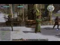Lord Of The Rings Online in PlayOnLinux