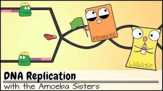 Download DNA Replication (Updated) MP3