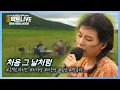 Download Lagu 제주하면 떠오르는 대표 드라마 OST 올인 [처음 그날처럼] | [온택트라이브 2회]  제주MBC 210903 방송