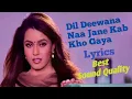 Download Lagu Dil Deewana Naa Jane Kab Kho Haya full Lyrics song | Daag: The Fire | Kumar Sanu, Anuradha Paudwal |