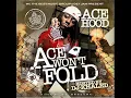 Ace Hood - Guns High