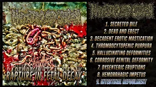 Download Mutated Sex Organ - Rapture in Fetal Decay (Full Album) (2022 - Grindcore) MP3