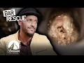 Season 9 s GROSSEST Recon Discoveries So Far Bar Rescue