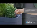 Crescent Garden TruDrop Self-Watering Planters Maintenance Watering