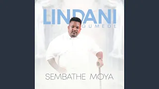 ngiphelele manginawe jesu