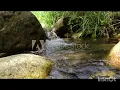 Download Lagu Music: Chasing WaterfallsMusician: https://pixabay.com/music/rnb-chasing-waterfalls-marilyn-ford-135