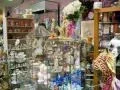 Alice s Antiques Plus Store Tour