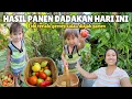 Download Lagu PANEN DADAKAN TOMAT DAN KACANG PANJANG. GAK NYANGKA TOMATKU BUAHNYA MAKIN LEBAT DAN BESAR 😍😍