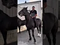 Download Lagu Ot #remix #music #automobile #horse #up #rek #villa #turkey #update #bmw #car #sports #sport #tiktok