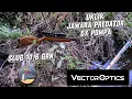 Download Lagu 30 menit berburu burung punai Bersama uklik Jawara Predator