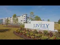 The Lively - Market Common