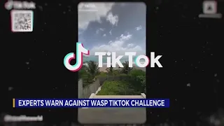 Experts warn against wasp TikTok challenge