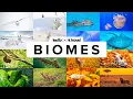 11 Types of Biomes and Their Animals with Maps