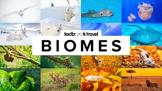 11 Types of Biomes and Their Animals with Maps