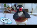 Download Lagu Pingu Gets Carried Away! | Pingu Official | 1 Hour | Cartoons for Kids