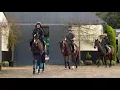 Katie Walsh Mullins Three