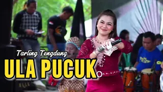 ula pucuk devi adinda citra nada live desa kemurang wetan kec tanjung brebes