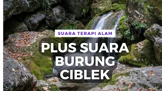 Download Terapi Air mengalir pancingan ciblek MP3