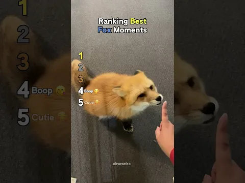 Ranking Best Fox Moments
