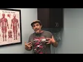 The Benefits of Medical Massage Therapy as it relates to Immune Function