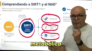 🧬 SIRT1 y adaptación metabólica