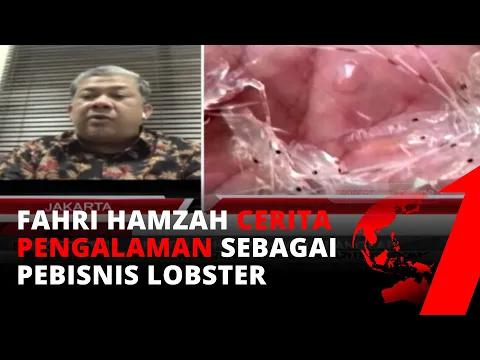 Terang-terangan! Alami Kerugian Besar, Fahri Hamzah Cerita Pengalaman Sebagai Pebisnis Lobster