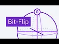What is a Bit-Flip