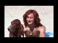Download Lagu Bee Gees - Dogs (Viewer's Request)