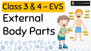 Download External body parts class 3 MP3