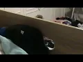 Monkey butt cheeks