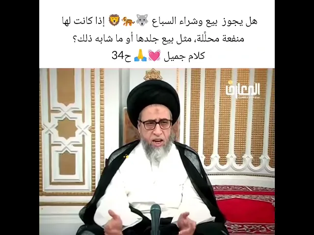 ⁣هل يجوز بيع وشراء الاسباع 🐅🦁سيد صباح شبر