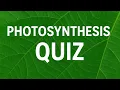 Photosynthesis Quiz Test Your Biology Knowledge in 5 Minutes