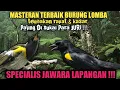 Download Lagu masteran terbaik burung lomba | paling di sukai para juri