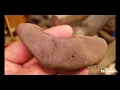 Native American Ground Stone Tools Turtle Effigies