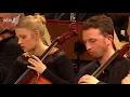 Harry Potter - Hedwig's Theme - John Williams | WDR Funkhausorchester