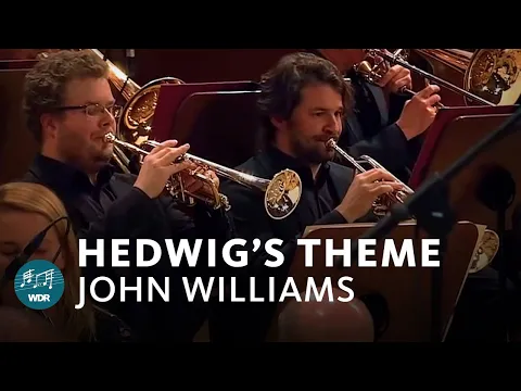 Download MP3 John Williams - Hedwig's Theme (Harry Potter) | Funkhausorchester 
