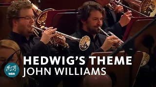 Download John Williams - Hedwig's Theme (Harry Potter) | Funkhausorchester  MP3