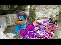 Download Lagu 🔥 The beautiful woman saw a pile of golden clams buried in the sand and collected golden pearls