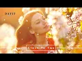 Download Lagu Davit Barqaia - Close To You (Original mix)